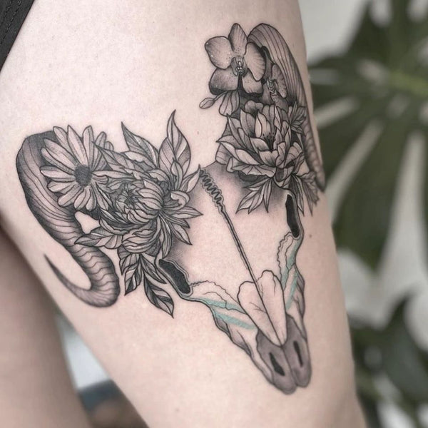 Gallery image 13
