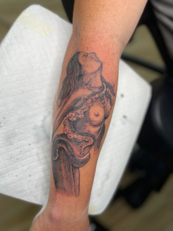 Gallery image 12