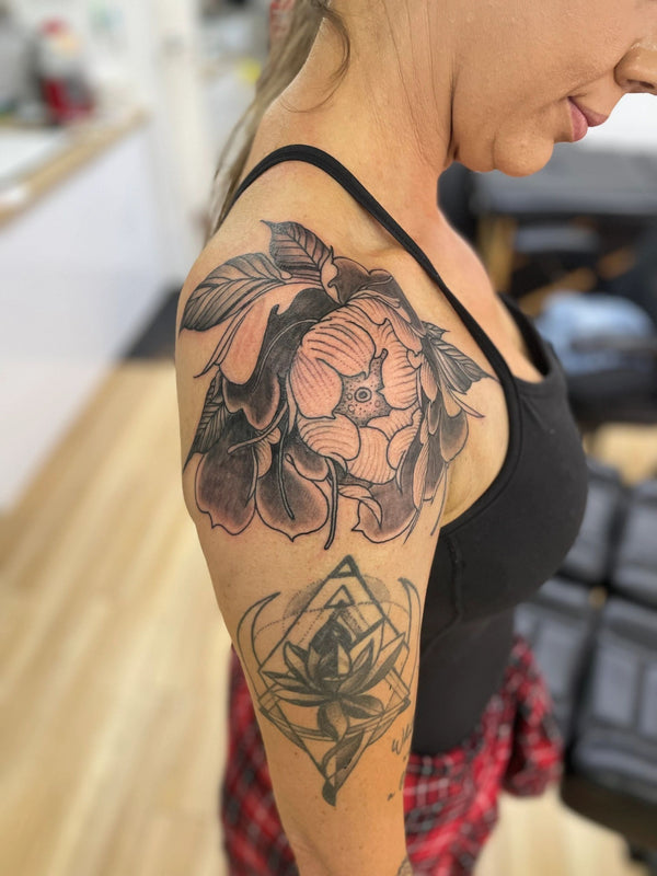 Gallery image 10